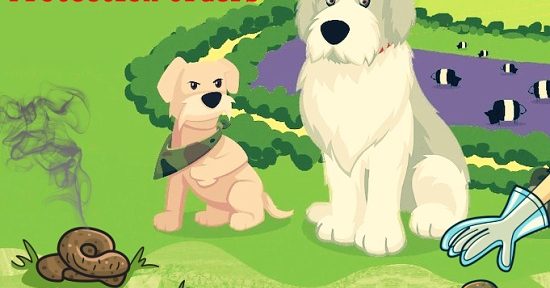 Public Spaces Protection Orders