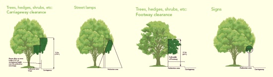 Tree and hedge guidanc