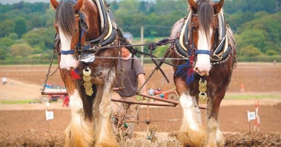 09 September John Hazard