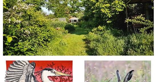 David Plummer & Will Green