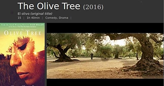 The Olive Tree