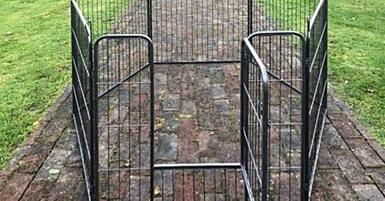 Preloved puppy prison