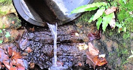 Riparian Responsibilities