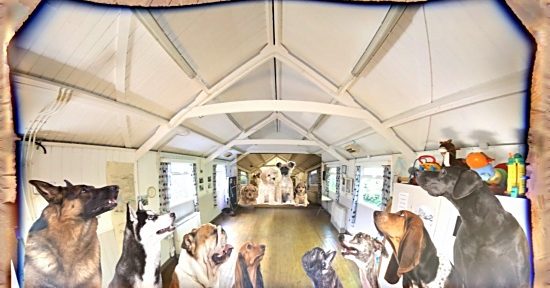 Fulking Social Committee April