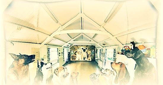 Fulking Social Committee June