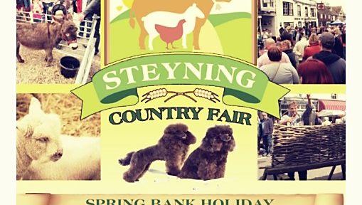 Steyning Country Fair 2019