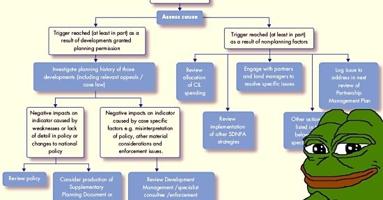 Pepe reads the South Downs Local Plan