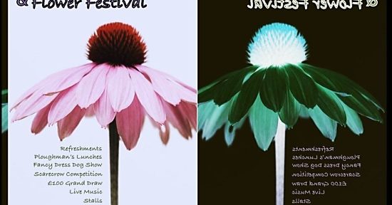 Pyecombe Flower Festival