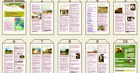 South Downs News August 2019