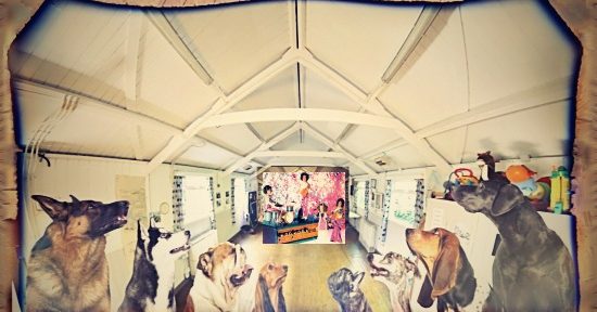 Fulking Social Committee October