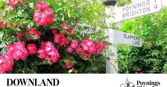 Downland Calendar 2020