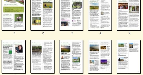 October 2019 South Downs Newsletter