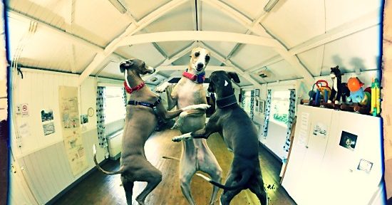 Social Committee Meeting January 2020