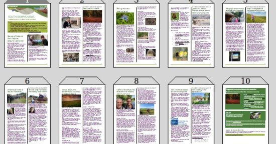 South Downs Newsletter November 2019