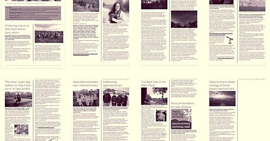 February 2020 South Diowns Newsletter