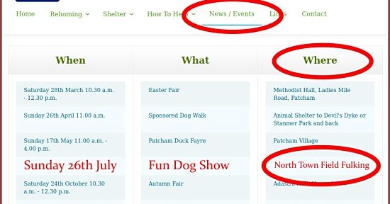 Fulking Fun Dog Show