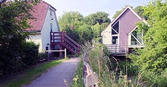 Sussex Wildlife Trust: Wilder Landscapes Support Officer