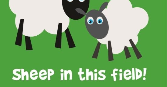 Lambing time and dogs