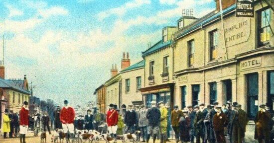 Bobservation No. 89: Changes in Henfield