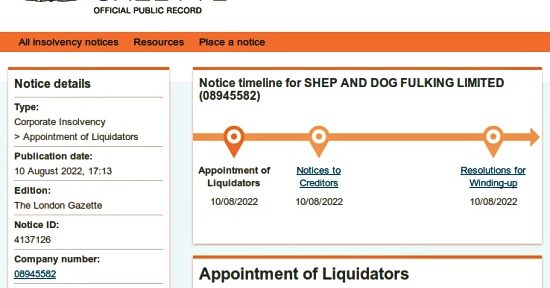 Appointment of Liquidators